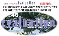 Evaluation no.46