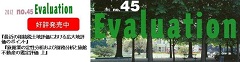 Evaluation no.45